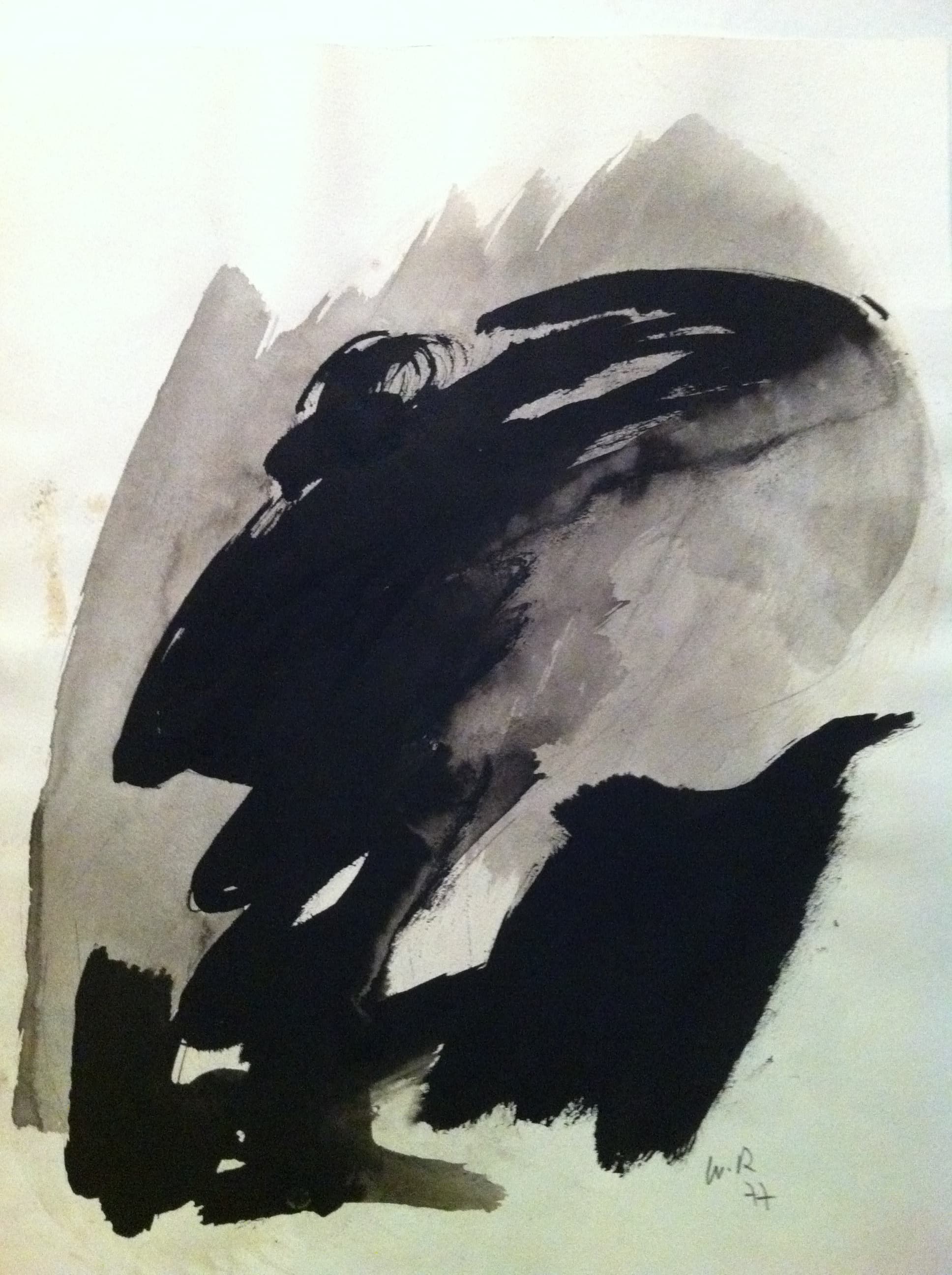 LAVIS VISAGE 1977
