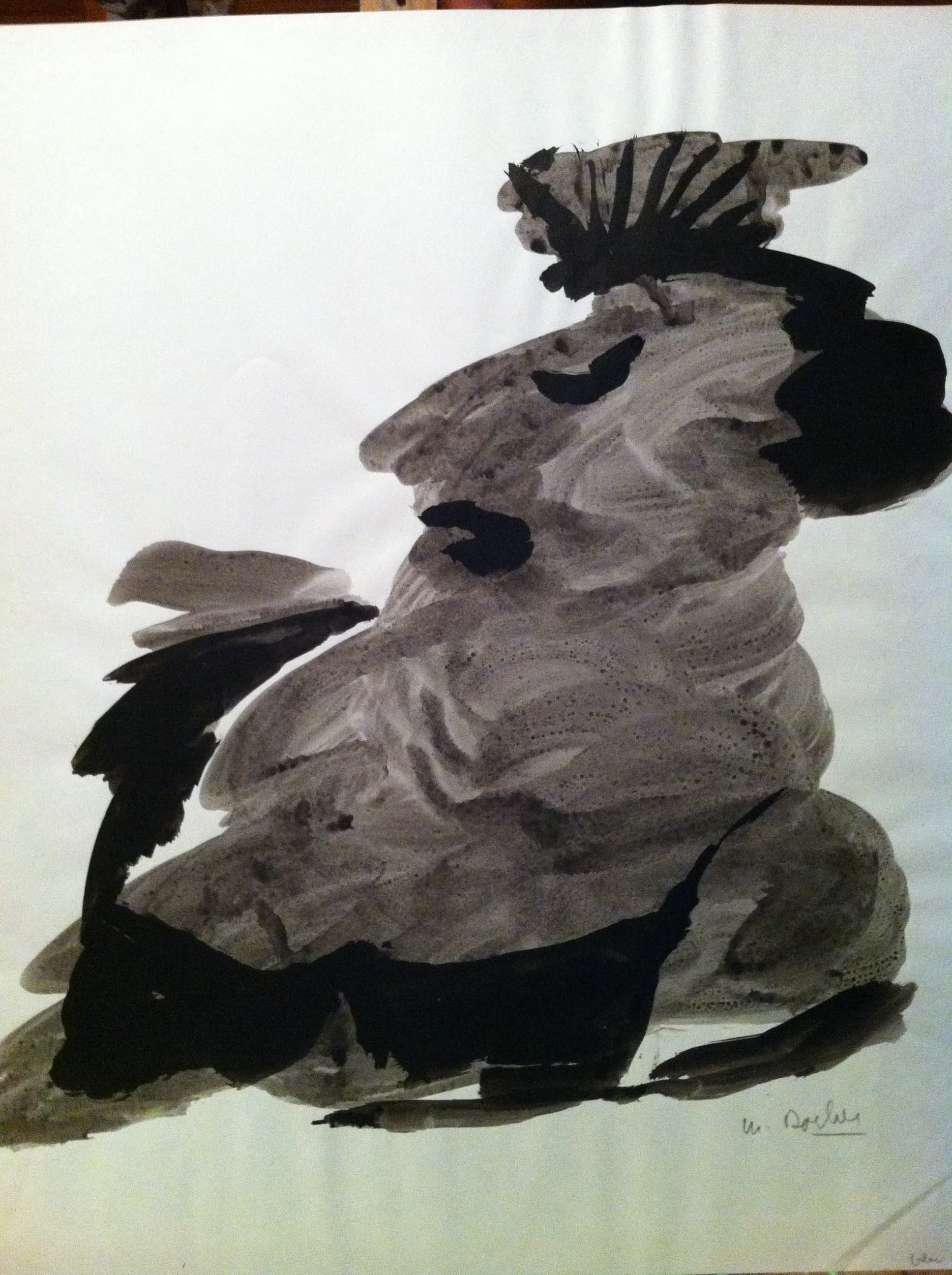 LAVIS VISAGE 1970